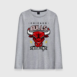 Лонгслив хлопковый мужской Chicago Bulls est. 1966, цвет: меланж