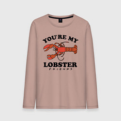 Мужской лонгслив Youre my Lobster