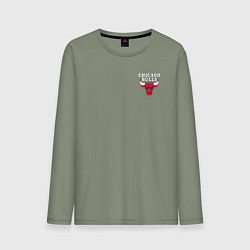 Лонгслив хлопковый мужской CHICAGO BULLS, цвет: авокадо