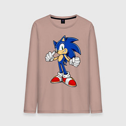 Лонгслив хлопковый мужской Sonic, цвет: пыльно-розовый