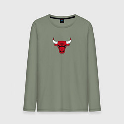 Лонгслив хлопковый мужской CHICAGO BULLS, цвет: авокадо