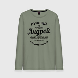 Лонгслив хлопковый мужской Андрей лучший, цвет: авокадо