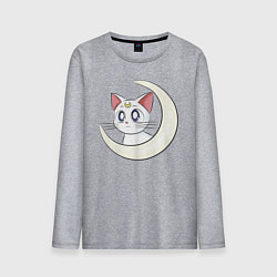 Лонгслив хлопковый мужской Artemis, цвет: меланж