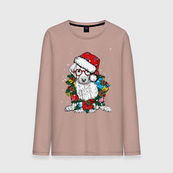 Мужской лонгслив ЛабриСанта