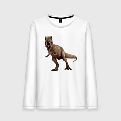 Мужской лонгслив T-Rex