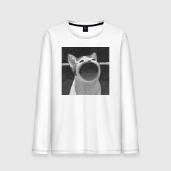 Лонгслив хлопковый мужской ЧБ Pop Cat, цвет: белый