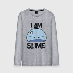Лонгслив хлопковый мужской I AM SLIME, Я СЛИЗЬ, цвет: меланж