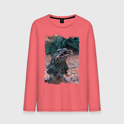 Мужской лонгслив Дракон ест кузнечика