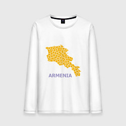 Мужской лонгслив Golden Armenia