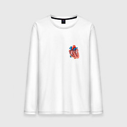 Лонгслив хлопковый мужской Анатомия Сердце, цвет: белый