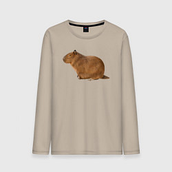 Лонгслив хлопковый мужской Капибара сидит и спит, цвет: миндальный