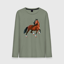 Лонгслив хлопковый мужской Хакнэ, цвет: авокадо