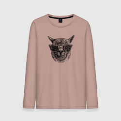 Мужской лонгслив Альпака в солнечных очках