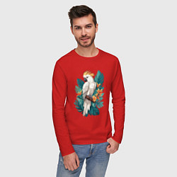 Лонгслив хлопковый мужской Попугай какаду и тропические листья, цвет: красный — фото 2