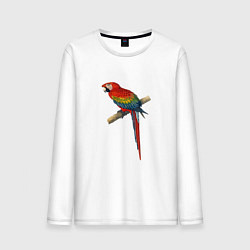 Лонгслив хлопковый мужской Попугай ara macaw, цвет: белый
