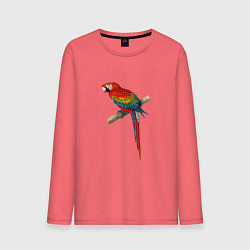 Лонгслив хлопковый мужской Попугай ara macaw, цвет: коралловый