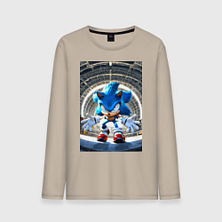 Мужской лонгслив Соник на сексетной базе