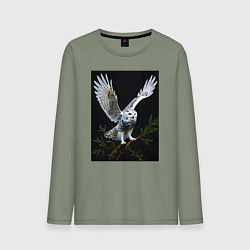 Лонгслив хлопковый мужской Белая сова на дереве, цвет: авокадо