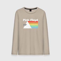 Мужской лонгслив Pink Floyd