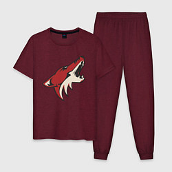 Пижама хлопковая мужская Phoenix Coyotes, цвет: меланж-бордовый