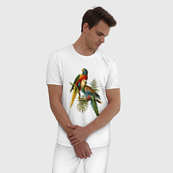 Пижама хлопковая мужская Тропические попугаи, цвет: белый — фото 2