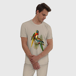 Пижама хлопковая мужская Тропические попугаи, цвет: миндальный — фото 2