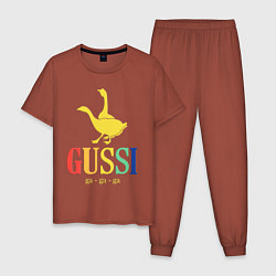 Пижама хлопковая мужская GUSSI Rainbow, цвет: кирпичный