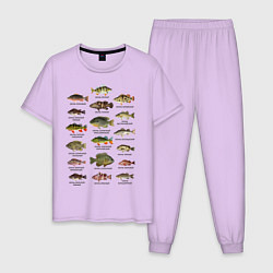 Пижама хлопковая мужская Разновидность окуней, цвет: лаванда
