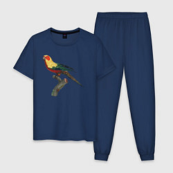 Пижама хлопковая мужская Попугай аратинга, цвет: тёмно-синий