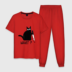 Пижама хлопковая мужская What cat, цвет: красный
