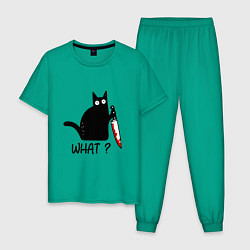 Пижама хлопковая мужская What cat, цвет: зеленый