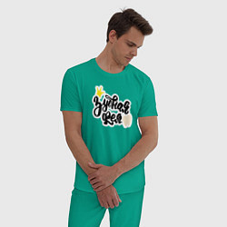 Пижама хлопковая мужская Зубная фея Стоматолог, цвет: зеленый — фото 2
