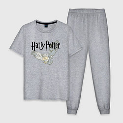 Пижама хлопковая мужская Гарри Поттер: Букля, цвет: меланж