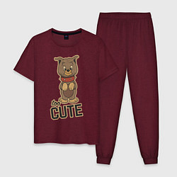 Пижама хлопковая мужская Too Cute, цвет: меланж-бордовый