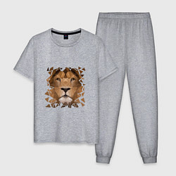 Пижама хлопковая мужская Лев, цвет: меланж
