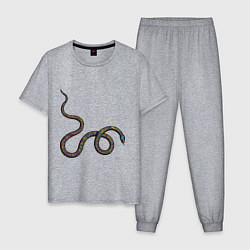 Пижама хлопковая мужская Змея, цвет: меланж