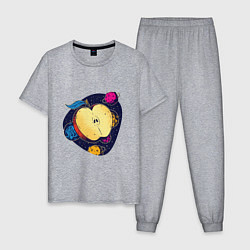 Пижама хлопковая мужская Space Apple Космическое яблоко, цвет: меланж