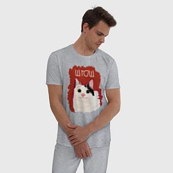 Пижама хлопковая мужская Котик ШТОШ, цвет: меланж — фото 2