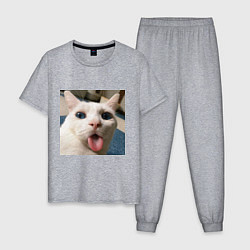 Пижама хлопковая мужская Мем про кота, цвет: меланж