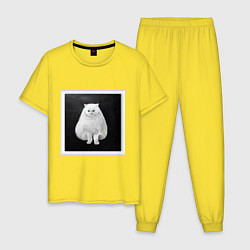 Пижама хлопковая мужская Злой белый кот арт, цвет: желтый