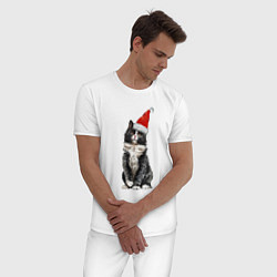 Пижама хлопковая мужская Черный кот в кружке Новогодний, цвет: белый — фото 2