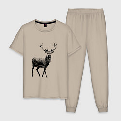 Пижама хлопковая мужская Черный олень Black Deer, цвет: миндальный