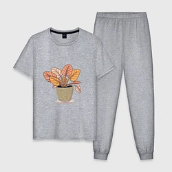 Пижама хлопковая мужская Комнатный цветочек, цвет: меланж