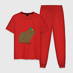 Пижама хлопковая мужская Капибара с кепкой-пропеллером, цвет: красный