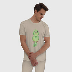 Пижама хлопковая мужская Зелёная птица, цвет: миндальный — фото 2