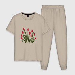 Пижама хлопковая мужская Simple Tulips, цвет: миндальный