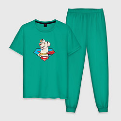 Пижама хлопковая мужская Пес Супермена Крипто DC Лига Суперпитомцы, цвет: зеленый