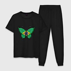 Пижама хлопковая мужская Бабочка - Бразилия, цвет: черный