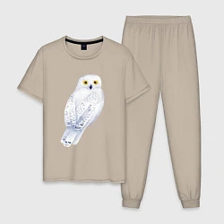 Пижама хлопковая мужская Белая полярная сова, цвет: миндальный