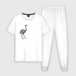 Мужская пижама Набросок страуса